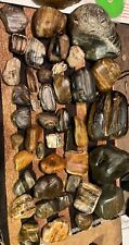 Yellowstone River Naturally Tumbled Petrified Woods Collection. 10+ Lbs picture