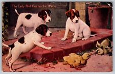 THE EARLY BIRD CATCHES THE WORM Puppies & Chicks 1908 Vintage Postcard S. Dakota picture