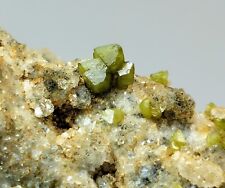 44 Gm Terminated Extremely Rare Green Hydrite Crysal On Matrix  Specimen~ PAk picture
