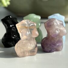 5pcs natural Mixed Fat Women Naked quartz crystal carved skull reiki healing picture