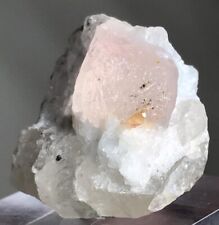 beautiful Morganite Crystal Specimen from Afghanistan 82 Carats (E) picture