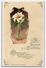 John Winsch Artist Signed Postcard Easter Lily Flowers Shelley Embossed c1910's picture