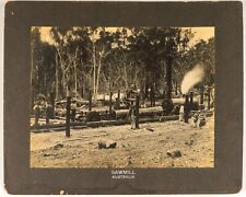 Antique Photo Sawmill Camp Wagerup Western Australia Philadelphia Museums picture