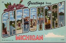 CHEBOYGAN, Michigan Large Letter Postcard Curteich Linen c1954 / Unused picture