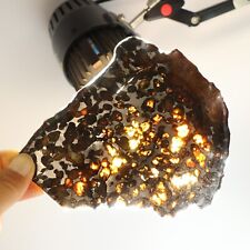 131g Slice meteorites, Rare slices of Kenyan Pallasite olive meteorite B2935 picture