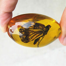 Beautiful Amber Butterfly Fossil Insects Manual Polishing Natural Artificial  picture