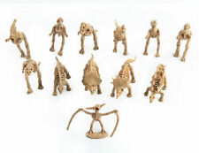 Unique Dinosaur Fossils Skeleton Figures Jurassic Park Dino Toy Model 12 pcs Lot picture