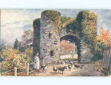 Pre-Linen foreign signed STRAND GATE AT WINCHELSEA IN EAST SUSSEX UK J4742 picture