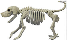 Crazy Bonez Skeleton Beagle Prop (a) picture