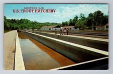 Norfork Dam AR-Arkansas, U.S. Trout Hatchery, Antique Vintage Souvenir Postcard picture