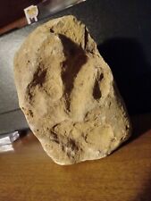 REAL FOSSILIZED Running DINOSAUR Footprint PETRIFIED FOSSILS INTACT JURASSIC 1/1 picture