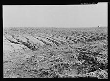 Soil Erosion,Benton County,Indiana,IN,Farm Security Administration,FSA picture