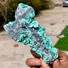 287G Rare Natural antlerite and druzy sphalerite crystal Mineral Museum level picture