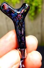 Indonesian Opalized Wood Fossil picture