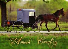 *Amish Postcard-