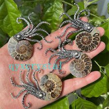 Natural Ammonite Fossil Conch Specimen Reiki Healing Brooch 1PC picture