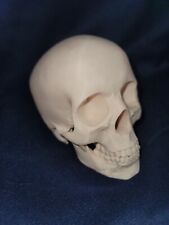 3d printed human skull, beige pla 40x34x60MM prop for cosplay, deocr picture
