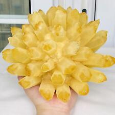 New Find Yellow Phantom Quartz Crystal Cluster Mineral Specimen Healing 3940G picture