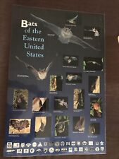 Bats of the Eastern United  States Educational Science Poster picture