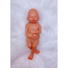 19 Weeks Baby Fetus, Stage of Fetal Development (Memorial/Miscarriage/Keepsake) picture