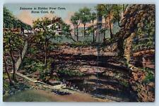 c1940's Entrance To Hidden River Cave Park Horse Cave Kentucky Vintage Postcard picture