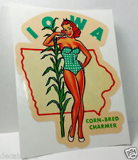 Iowa Pinup Vintage Style Travel Decal, Vinyl Sticker, Luggage Label picture