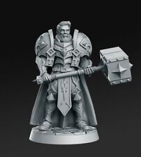 Sir Warrick Male Paladin 32mm - DnD Miniatures - Dungeons and Dragons Fantasy picture
