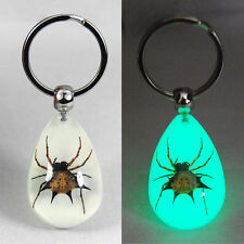 NEW REAL SPINY SPIDER GLOW KEYRING INSECT KEYCHAIN GIFT picture