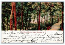 1908 The Glen Wood Path Tree Shelter Island Heights New York NY Antique Postcard picture