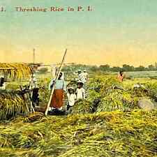 Antique Postcard Philippines  Threashing Rice In P.I. M5  picture