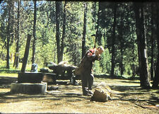 Vintage Photo Slide 1956 Man Hatchet Woods picture