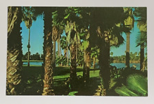 Texas Displays Beautiful Palms Surrounding Scenic Lakes Postcard Unposted picture