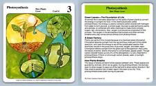 Photosynthesis #4 Grow - My Green Gardens 1987 Cardmark Card picture