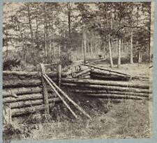 Palmer's field, on Orange Turnpike, Confederate entrenchments at edge of woods picture