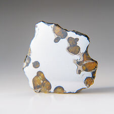 Genuine Brenhama Pallasite Meteorite Slice (20 grams) picture