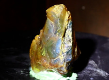 Beautiful Natural Dominican Clear Green Blue Amber Rough Specimen 46mm 12g picture