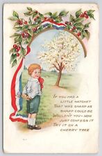 Postcard Boy w/Hatch Cherry Tree George Washington American Flag Embossed 1916 picture