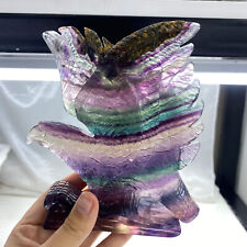 1pc  Natural fluorite quartz hand-carved eagle crystal reiki healing gift picture
