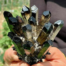 1PC New Find black Phantom Quartz Crystal Cluster Mineral Specimen Healing Gift picture