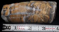 Geological Society Of California Mining  Drill Core Of Rich Quartz Visible Gold  picture