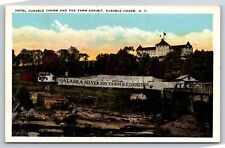 Postcard NY Ausable Chasm New York Hotel Ausable Chasm Fox Farm Exhibit AT11 picture