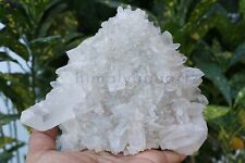 Superb Lots Of Point White Samadhi Quartz 925g Cluster Healing Mineral Specimens picture