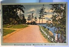 Greetings from Hartford, Michigan - Scenic Lakeside - Rare View - Linen Postcard picture