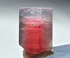 Tri colour terminated watermelon tourmaline crystal - 20 carats picture