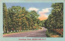 c1940 Greetings From Moncure Linen North Carolina NC  P549 picture