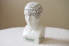 Vintage Porcelain Schering Trilafon Full-Range Tranquilizer Bust Phrenology Head picture