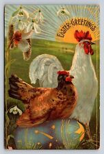 c1910 Chickens Egg Sunrise Easter P243A picture