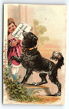 1880 EDWIN C BURT FINE SHOES GIRL BIG BLACK DOG VICTORIAN TRADE CARD Z1122 picture