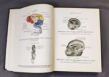 Rare Book 1948 Human anatomy Atlas medicine textbook Medical book Russian USSR picture