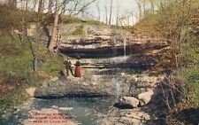 Vintage Postcard 1910's Dripping Springs at Creve Coeur Lake St. Louis Missouri picture